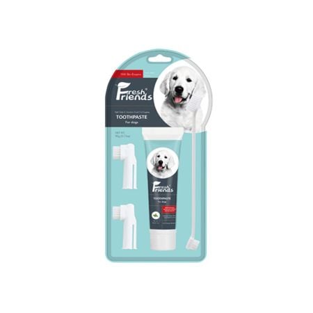 Fresh Friends Dog Dental Care Kit, Dog (Toothpaste Mint Flavor 90g & Toothbrushes