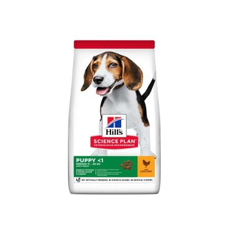 Hills dog dry food for medium puppy with chicken